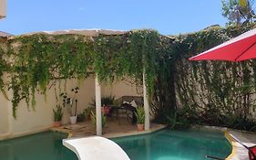 Bed And Breakfast Pecari